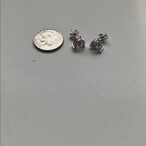 Silver and Purple Earrings Small